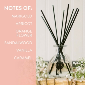 BW127152 Infographic Reed Wanderlust