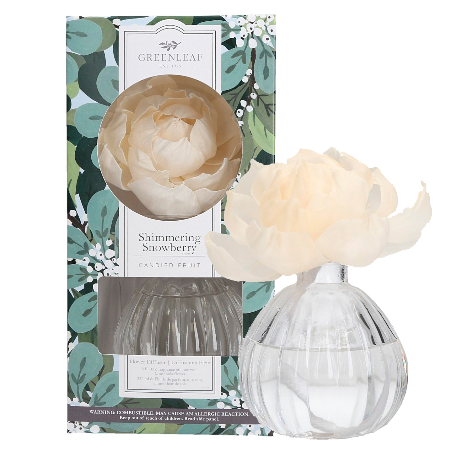 GLG966558 WS ShimmeringSnowberry 1